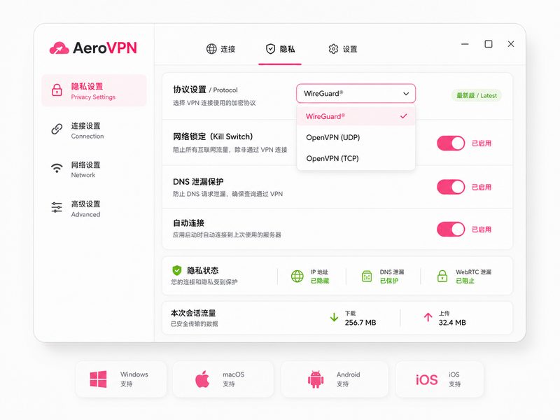 AeroVPN高级安全设置面板与隐私保护功能展示